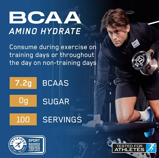 Applied Nutrition BCAA Amino Hydrate 450Gram 32 Servings